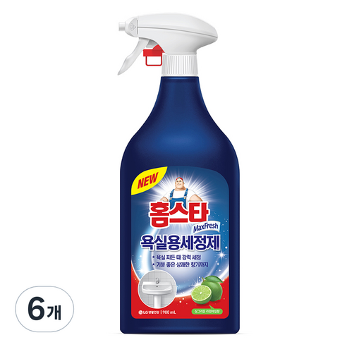 홈스타 욕실청소용 세정제, 6개, 900ml