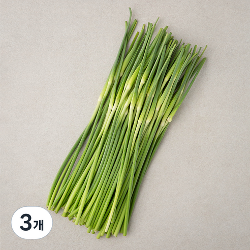 남해 마늘쫑, 500g, 3개