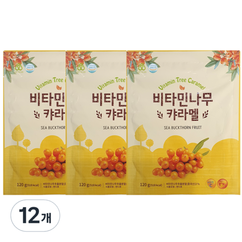 하이투데이 비타민 나무 캬라멜, 360g, 12개
