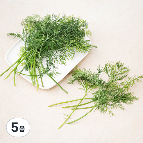 유기농 딜, 10g, 5봉