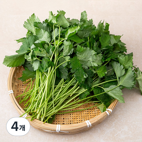 참나물, 1kg, 4개