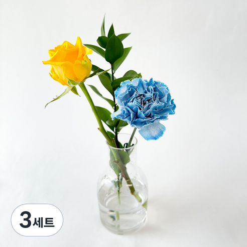 포켓플라워 생화 테이블 플라워 세트, 블루, 3세트