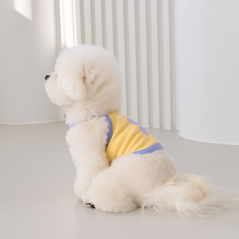 伴侶  寵物產品  小狗  貓  組合使用  服裝  T卹  狗  狗  狗