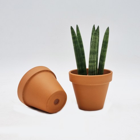 숨 쉬는 토분으로 식물에게 건강한 보금자리를 선물하세요.