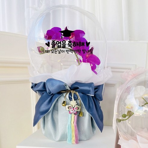 러블리팜 조화 터지지 않는 매직 꽃풍선 보자기형 호접란 25cm + LED 조명 + 용돈 홀더 10p + 비닐 30p + 전용 쇼핑백 세트 졸업 앤 입학, 보자기형_호접란_핑크, 블랙, 졸업&입학