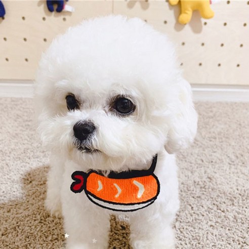 알알 강아지 고양이 편안한 케이프 M + 옷걸이, 새우초밥, 1개