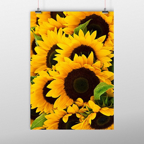더 아트컴퍼니 풍수그림 11 선플라워 꽃다발