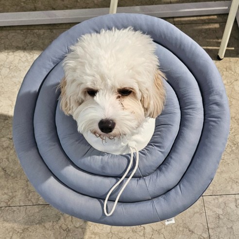 MAAH 강아지 넥카라 대형, 1개, 라벤더네이비