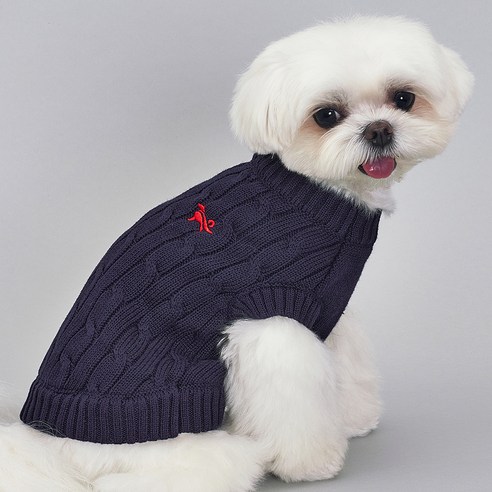 사랑하는 반려견을 위한 따뜻한 겨울 필수 아이템