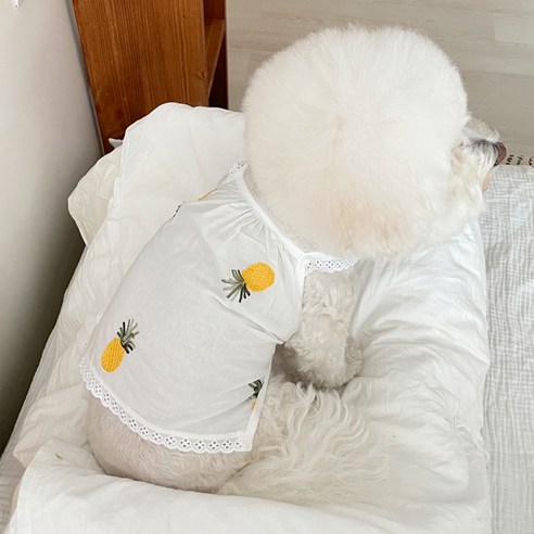 바이담수미 강아지 코지 자수 나시, 파인애플