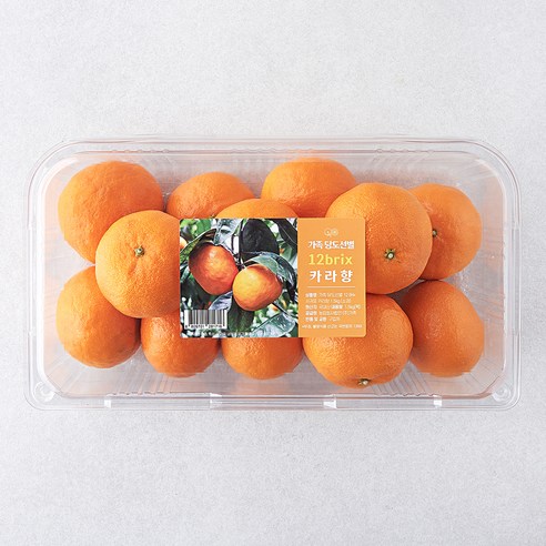 가족 당도선별 12brix 서귀포 카라향, 1.5kg(소과), 1개