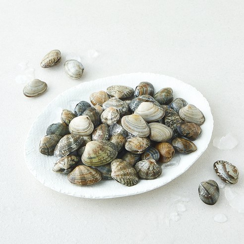[로켓프레시] 바다림 서해안 생물 참바지락 (냉장)