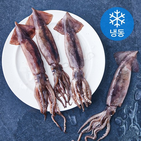 고소한 내장 한입 통찜용 오징어 4~7개입 (냉동), 500g, 1개