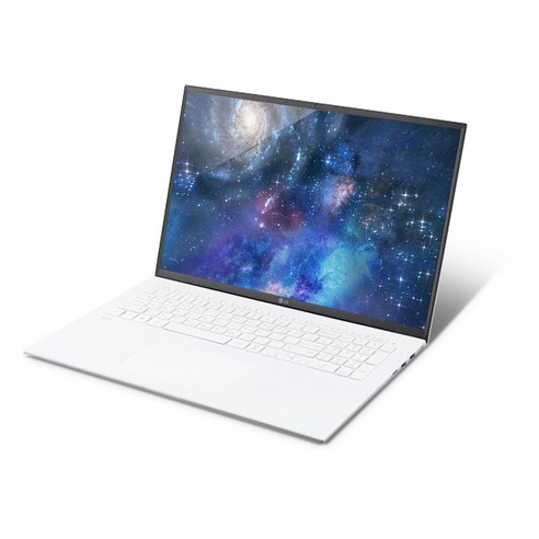 LG전자 2021 그램 17, 스노우 화이트, 코어i7 11세대, 1024GB, 8GB, WIN10 Home, 17ZD90P-GX70K