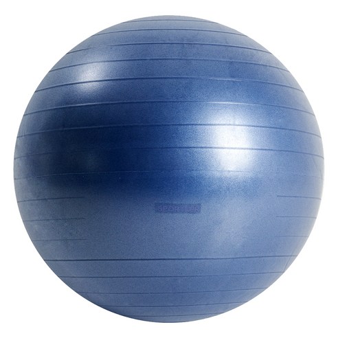 스포틀러 안티버스트 짐볼, 블랙베리퍼플