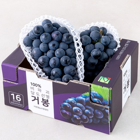 가원 비파괴 당도선별 거봉 포도, 1.5kg(2~3수), 1박스