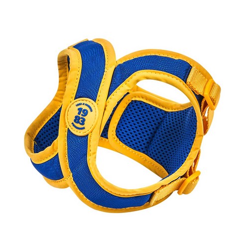 사랑하는 반려견과의 편안한 산책