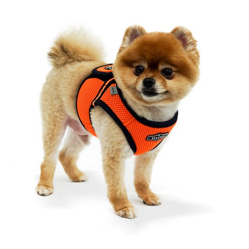 RealPet 프리세이프 강아지 조끼 하네스, 오렌지
