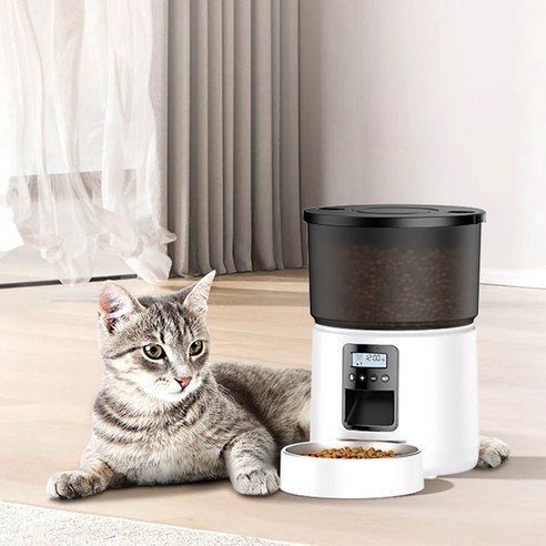 늦잠도 걱정 없이! 로제코 자동 급식기로 댕냥이 밥 걱정 끝!