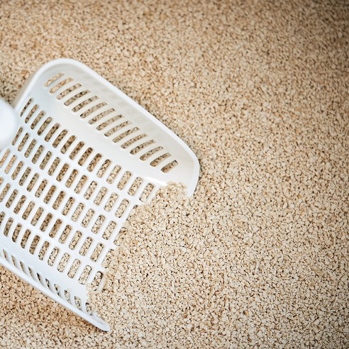 고양이를 위한 최상의 두부 모래