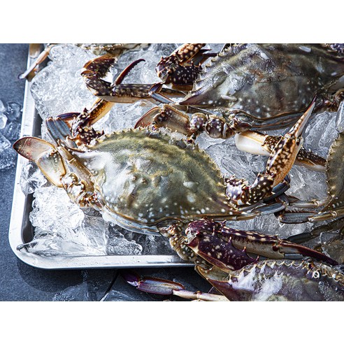 신선한 햇꽃게통째로 즐기는 꽃게