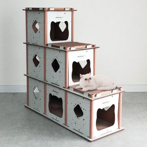 고양이를 위한 특별한 공간