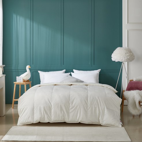 잠 못 이루는 당신에게, 구스다운 이불이 선사하는 마법 같은 밤 구스앤홈