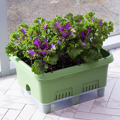 삭막한 도시, 베란다 텃밭으로 싱그러운 행복을!