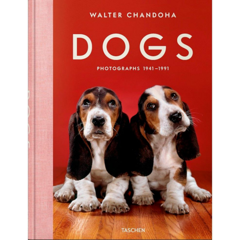 WALTER CHANDOHA DOGS