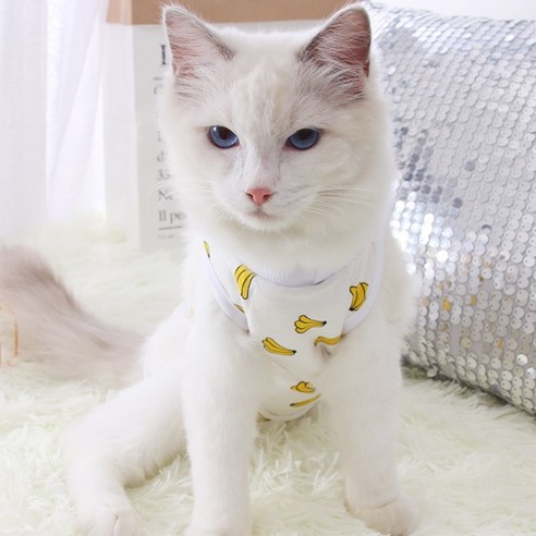 반려동물 환묘 환견복, 바나나