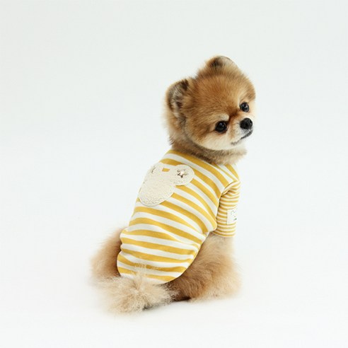 이츠독 강아지 스타 베어 티셔츠, 옐로우