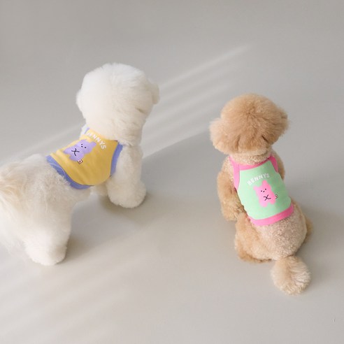 伴侶  寵物產品  小狗  貓  組合使用  服裝  T卹  狗  狗  狗