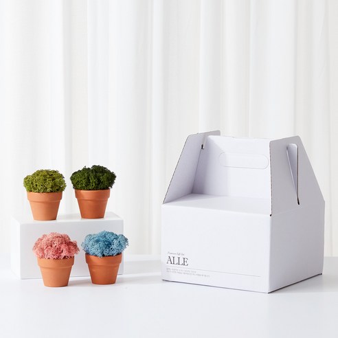 園藝 園藝 用品 園藝 苔蘚 植物 苔蘚 用於園藝