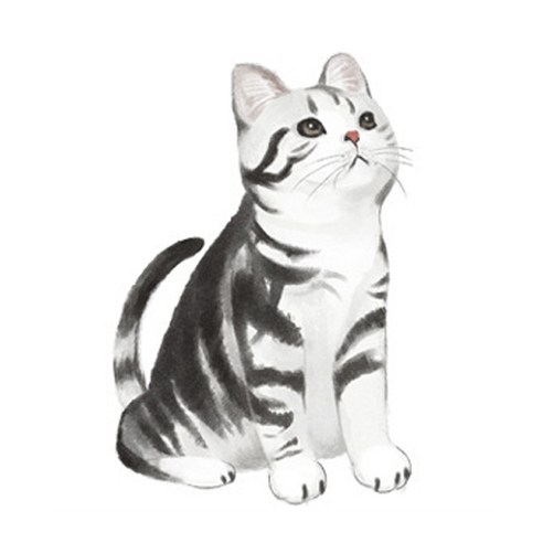 JCP 복실복실 고양이 발매트, 백호냥