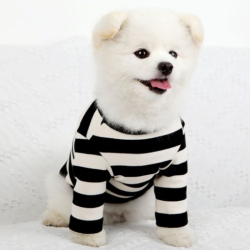 럭키페터 강아지 베이직 스프라이프 티셔츠, 화이트 + 블랙, 1개