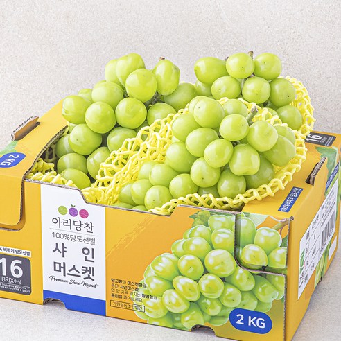 아리당찬 비파괴 당도선별 샤인머스켓, 1개, 2kg(2~3입)