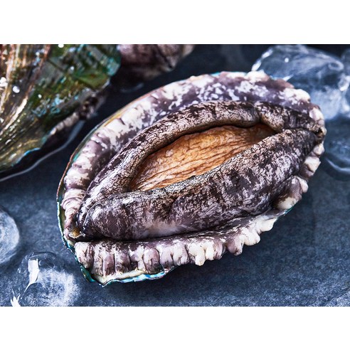 싱싱함이 살아있는 완도 전복, 집에서 즐기는 특별한 미식 경험