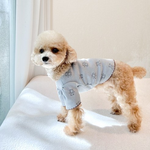 伴侶  寵物產品  小狗  貓  組合使用  服裝  T卹  狗  狗  狗