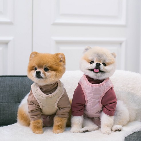 伴侶  寵物產品  小狗  貓  聯合使用  服裝  外衣  狗  狗  狗