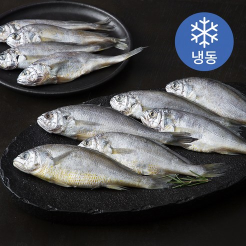 다미원 영광 법성포 대용량 굴비 (냉동), 1.7kg(20미), 1개