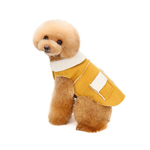 伴侶  寵物產品  小狗  貓  聯合使用  服裝  外衣  狗  狗  狗