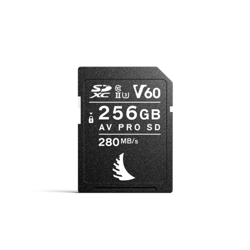 앤젤버드 V60 PRO SD MK2 메모리카드 AVP256SDMK2V60, 256GB