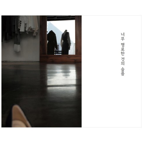 너무 명료한 것의 슬픔, 온출판, 이준호, 김용수
