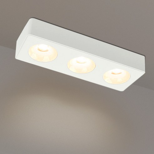 원하 인테리어 에코 모즈 3구 LED 직부등 전구색 플리커프리 COB 24W, 화이트