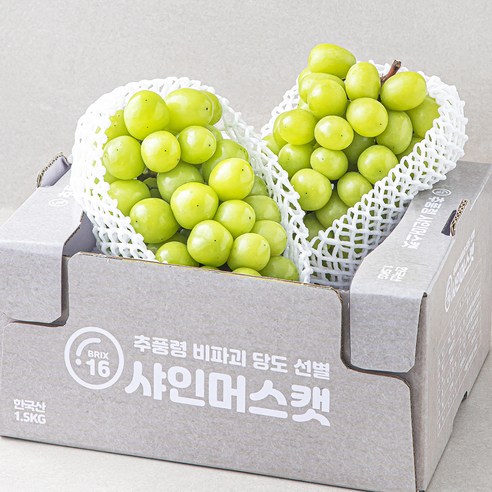 한반도 비파괴 당도선별 샤인머스켓, 1.5kg, 1개