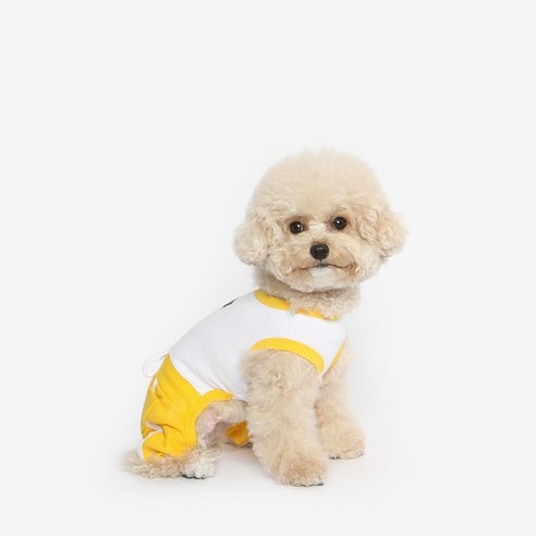 투스투스 강아지 올인원, 옐로우