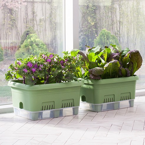 삭막한 도시, 베란다 텃밭으로 싱그러운 행복을!