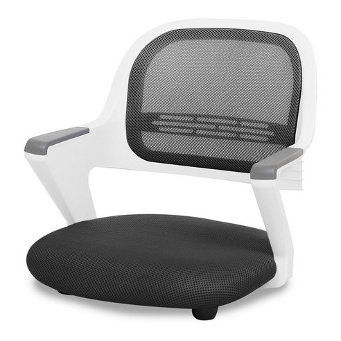 체어포커스 알라딘 좌식의자 AL-D250 WH, 화이트(바디), 메쉬(블랙)