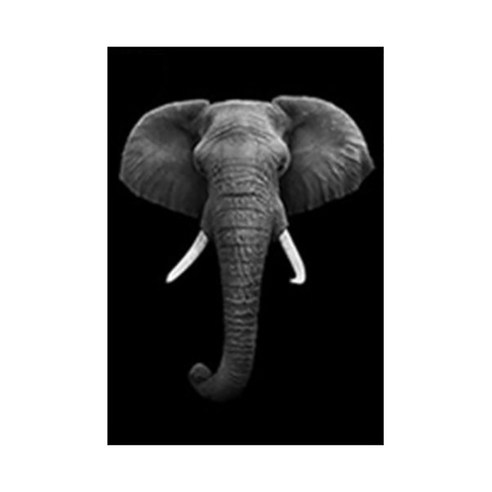 디엠코퍼레이션 흑백 동물 캔버스 포스터 큰 코끼리