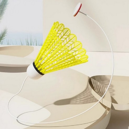 혼자서도 즐겁게! 집에서 키우는 배드민턴 실력